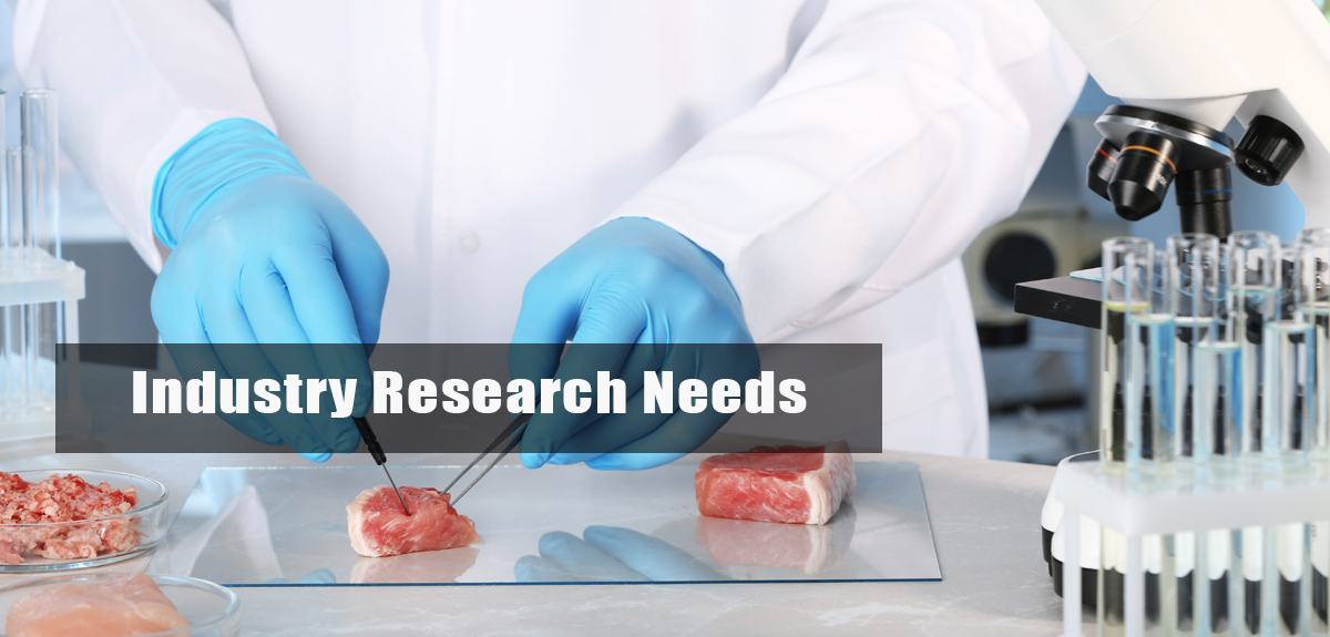 Industry research needs